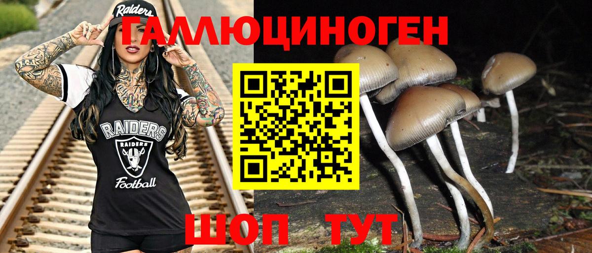 Псилоцибиновые грибы GOLDEN TEACHER Нижневартовск