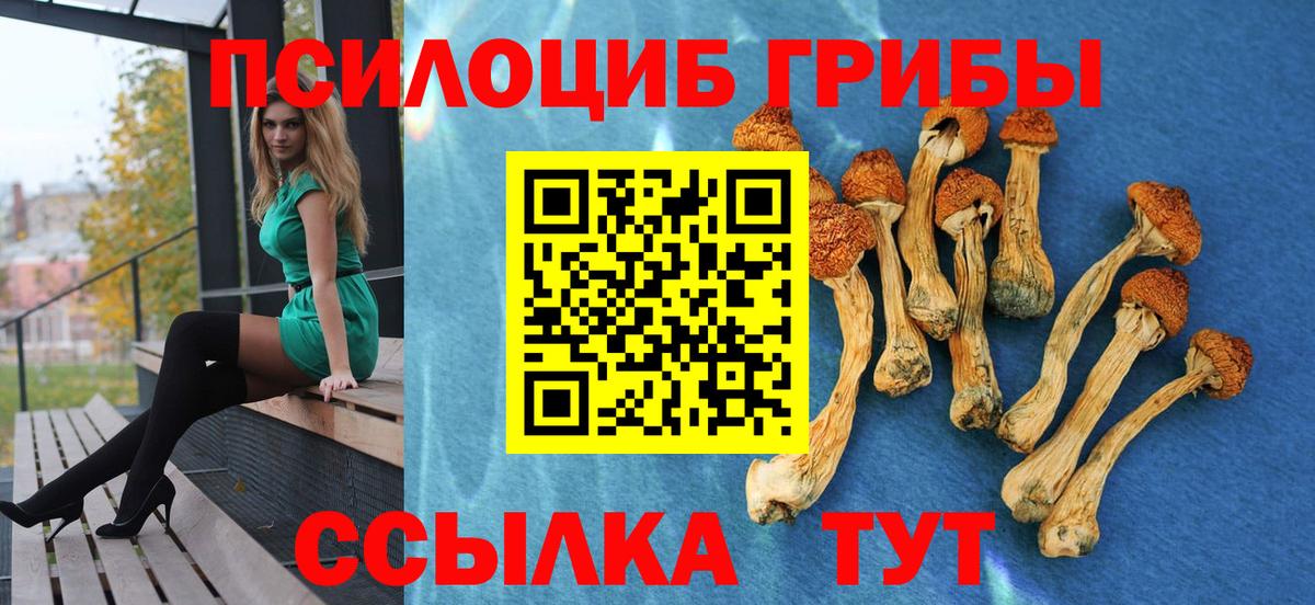 Псилоцибиновые грибы Cubensis  Вход с VPN  Нижневартовск 